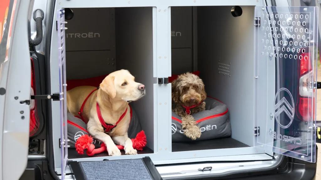 Citroen Berlingp Pawlingo concept for dogs